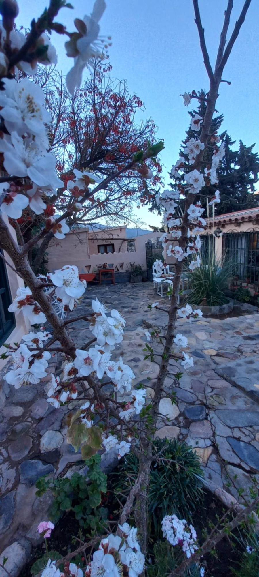 Los Arcabuceros Casa Hotel Boutique 틸카라 외부 사진
