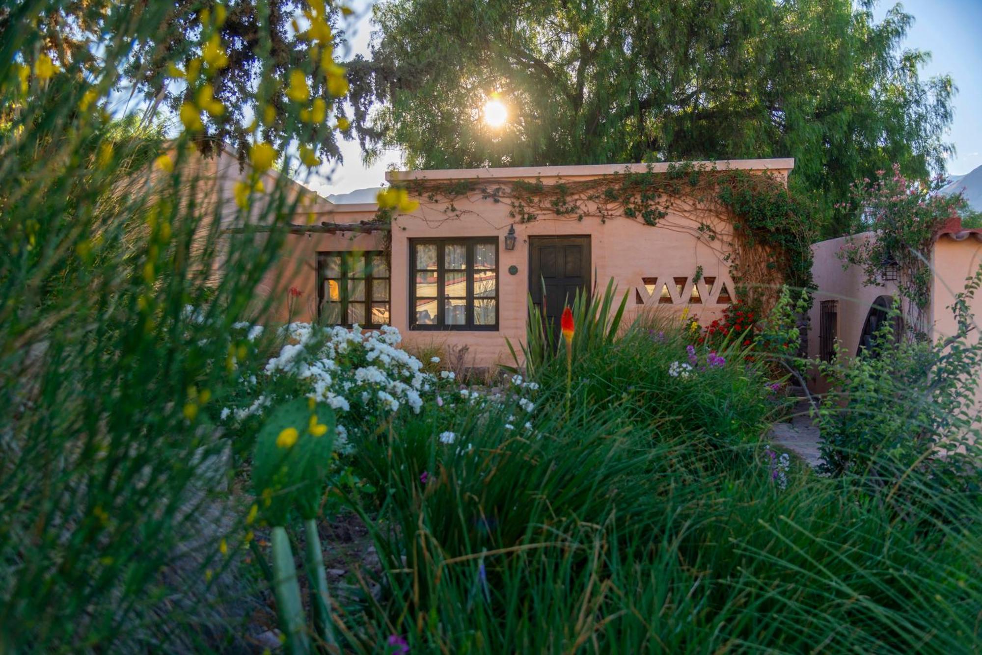 Los Arcabuceros Casa Hotel Boutique 틸카라 외부 사진